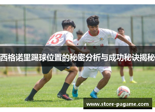 西格诺里踢球位置的秘密分析与成功秘诀揭秘